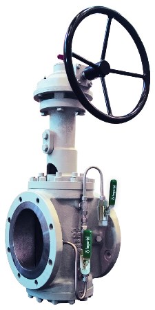 Dual Expanding Plug Valves